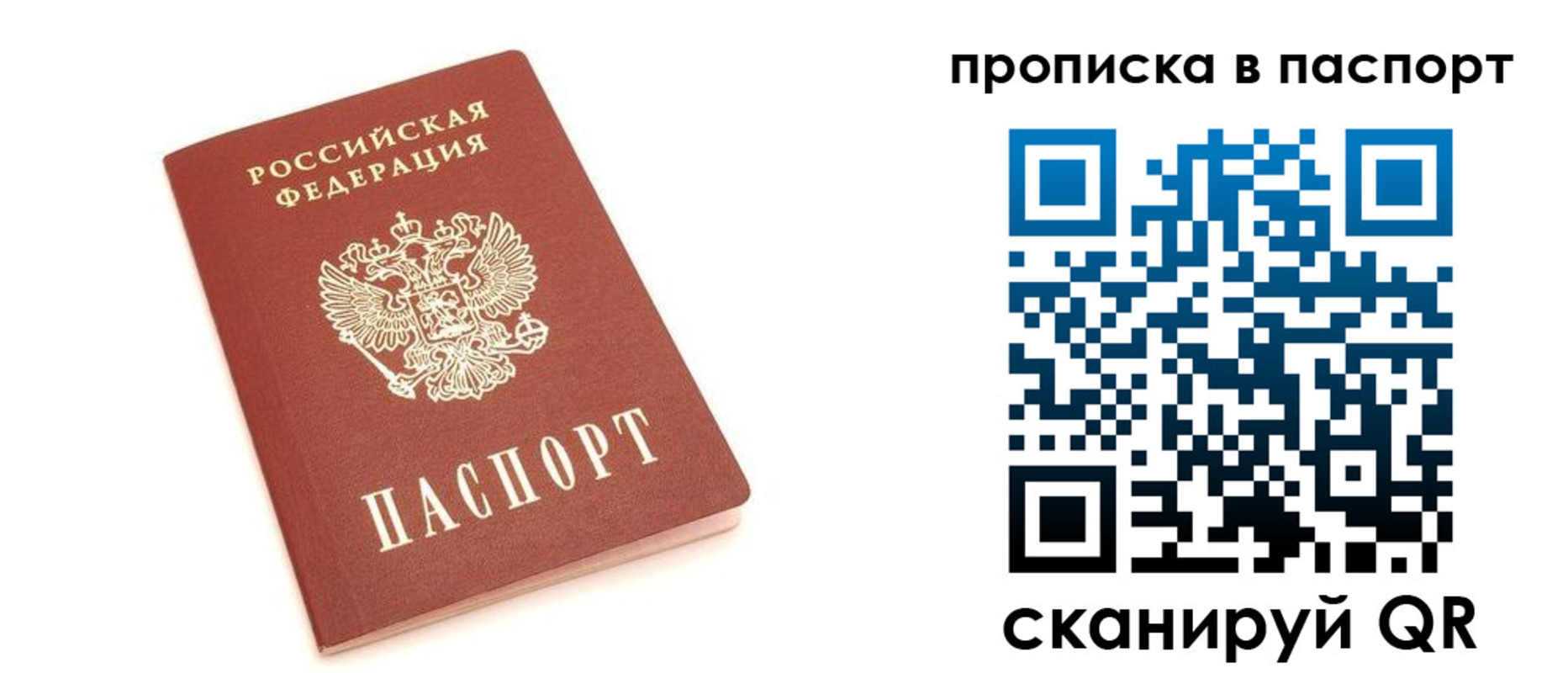прописка паспорт в Калининградской области